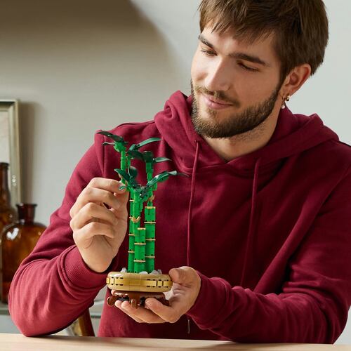 LEGO® Bambú de la Suerte