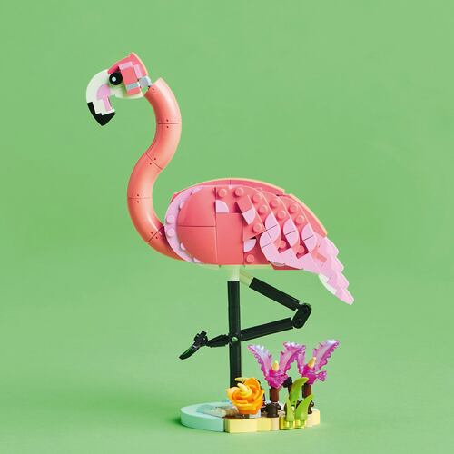 LEGO® Creator 3 en 1 Fauna Salvaje Flamingo