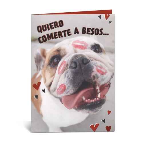 Tarjeta Amor Foto Perro Con Besos