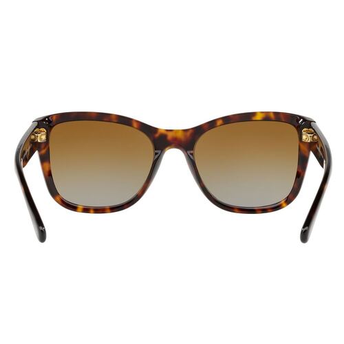 Coach café polarizado, armazón en acetato Habana