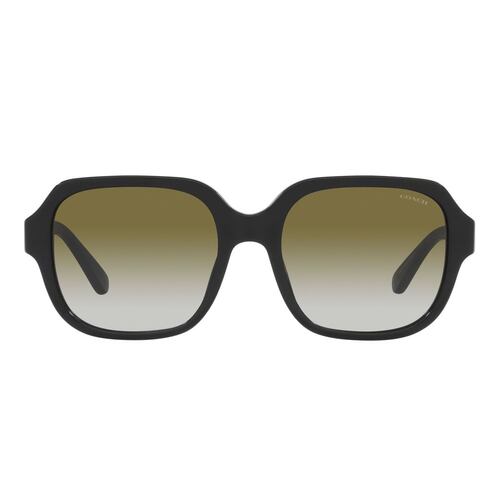 Lente solar Coach modelo 0HC8335U C7989 degradado color verde en acetato color negro