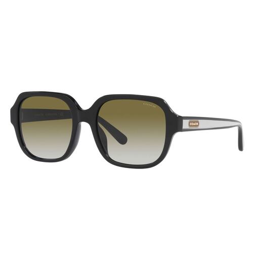 Lente solar Coach modelo 0HC8335U C7989 degradado color verde en acetato color negro