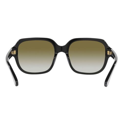 Lente solar Coach modelo 0HC8335U C7989 degradado color verde en acetato color negro