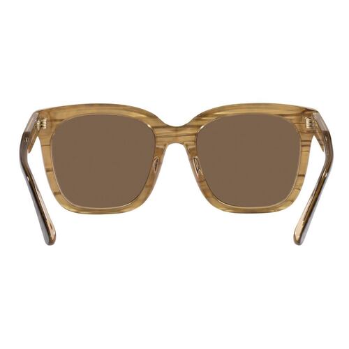 Lente Solar Michael Kors San Marino Café en Acetato Café-Negro