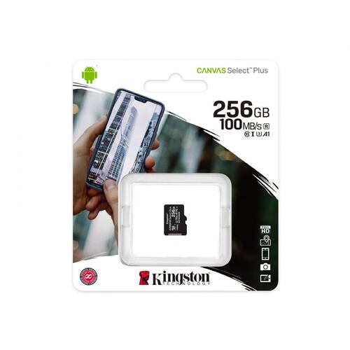 Micro SD Kingston 256 GB C10 Plus