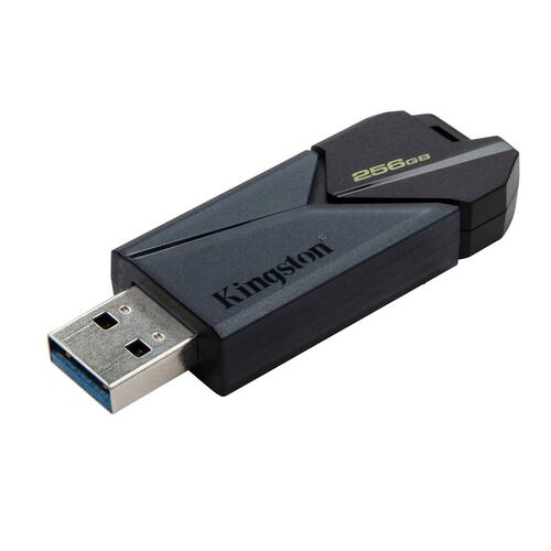 Memoria USB Kingston 3.2 Onyx 256GB Negro