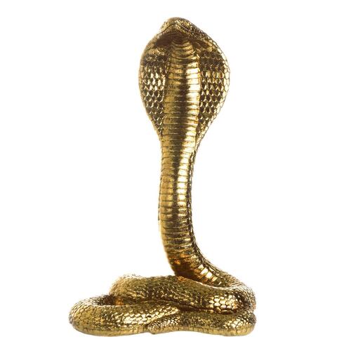 Cobra dorada