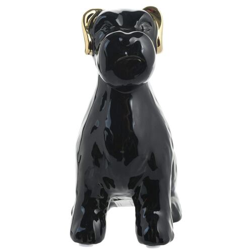 Perro negro