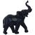 Elefante negro 437-668059