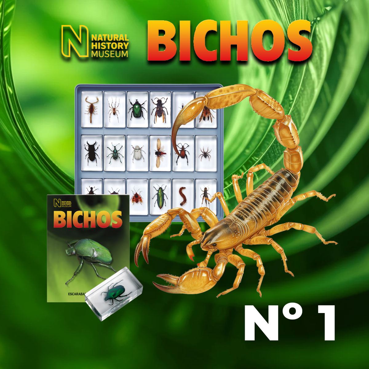 Colección Bichos 0001 RBA Editores Naturaleza