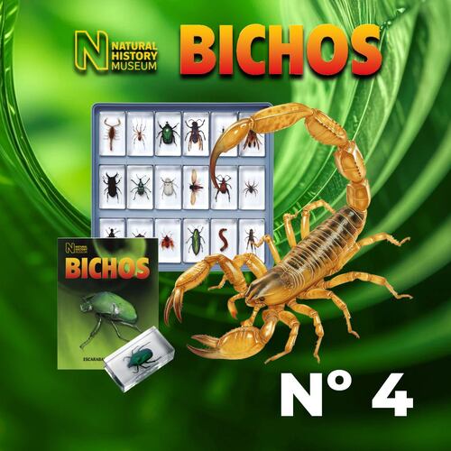 Colección Bichos 0004 RBA Editores Naturaleza