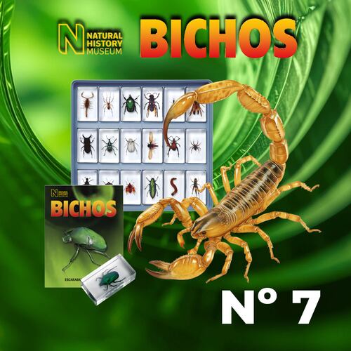 Colección Bichos 0007 RBA Editores Naturaleza