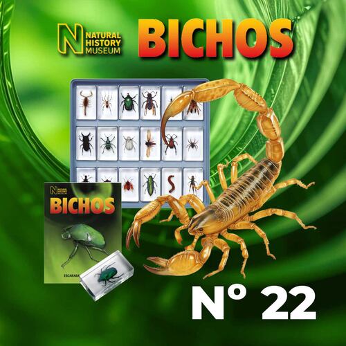 Coleccion Bichos 0022 RBA Editores