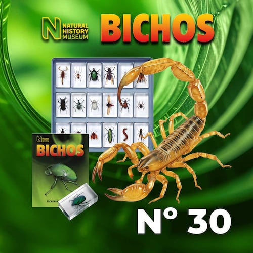 Coleccion Bichos 0030 RBA Editores