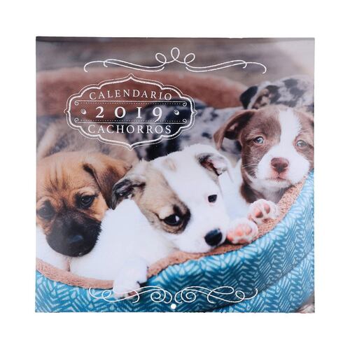 Calendario 2019 cachorrito