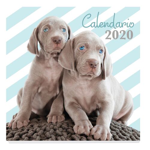 Calendario 2020 Cachorros Upak