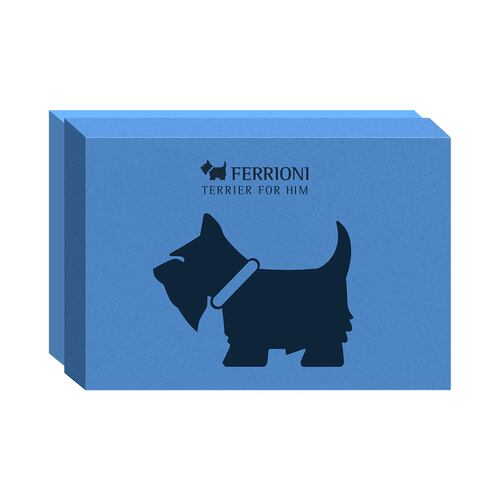 Fragancia para Hombre Ferrioni Terrier For Him Eau de Parfum 90 ml + Perfumero 10 ml + Deo Stick 78 Gr
