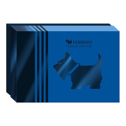 Estuche Fragancia Ferrioni Terrier For Him Eau De Parfum 90 Ml + Perfumero 10 Ml + Deo 78 G Para Caballero