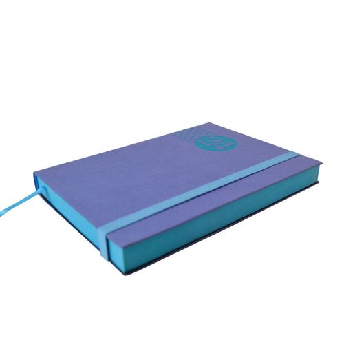 Agenda Danpex Colors verde