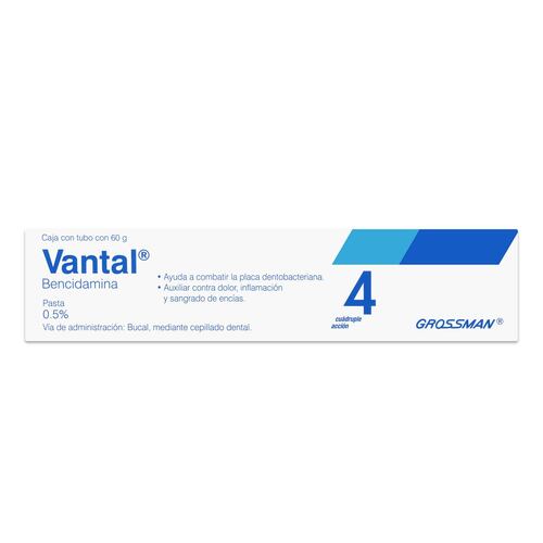 Vantal Past Dent 60g