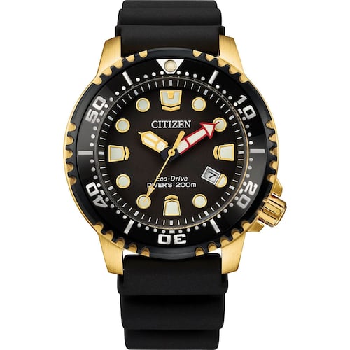 Reloj Citizen Promaster Dive 61453