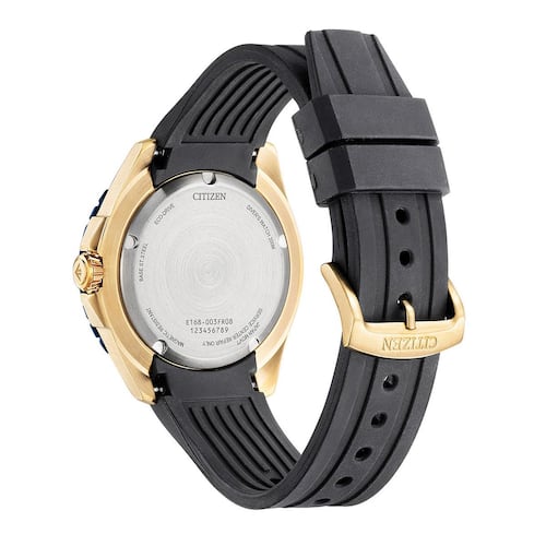 Reloj Citizen Promaster Dive Eco Drive 61675 caballero