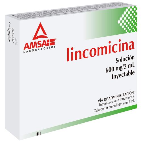 Am Lincomicina 600mg/2ml 6ampo Nva Imag