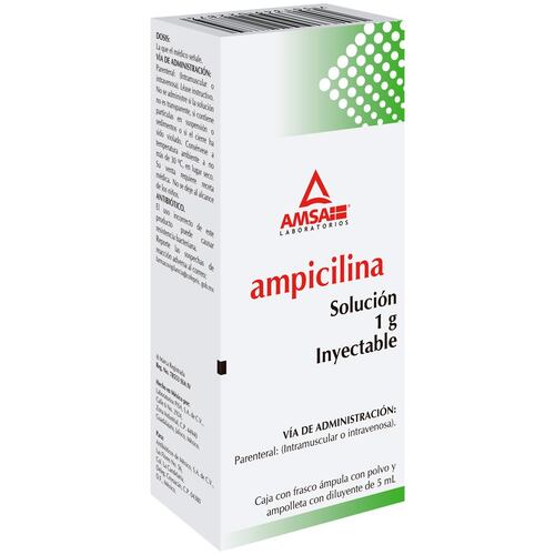 Am Ampicilina 1 G 1 Amp Nva Imag