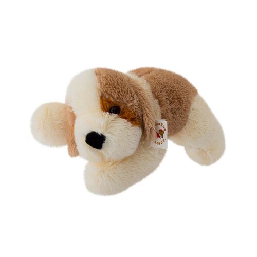 Perro Oly Echado