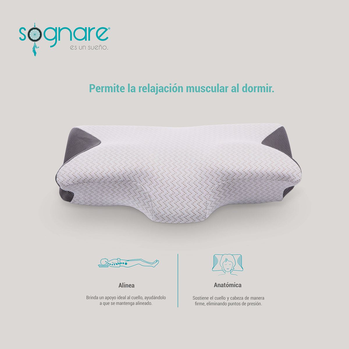 Almohada 2024 sognare sanborns