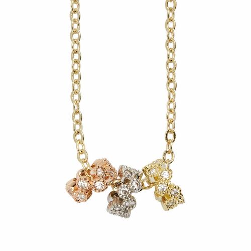 Collar Chapa de Oro
