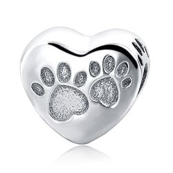 charm-plata-huellas-perro