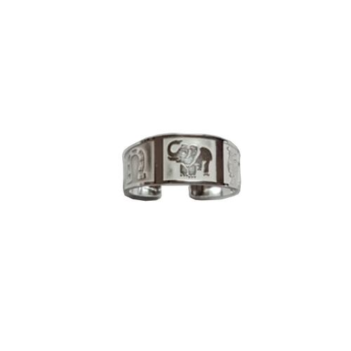 Anillo de la Suerte Plata .925 BBP