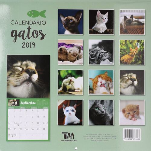 Calendario 2019 gatos