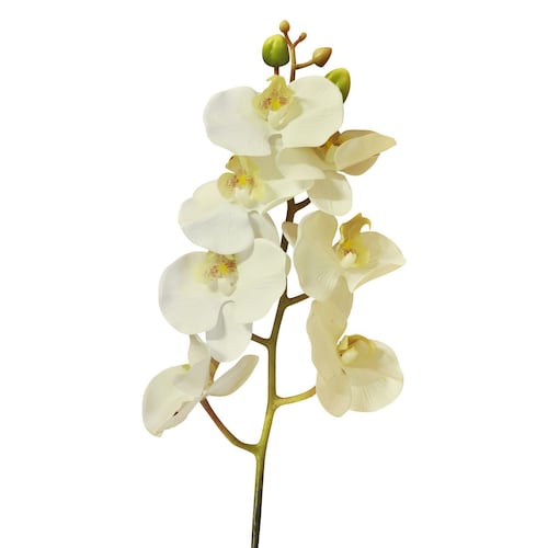 Orquídeas color blanco Art Home