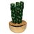 Cactus artificial Art Home
