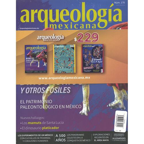 Mamuts dinosaurios y otros fósiles - Insectos en Mesoamérica - 8 Venado garra de jaguar