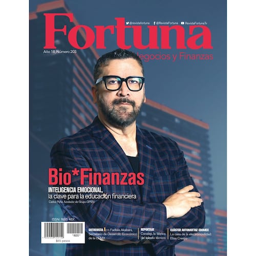 Revista fortuna