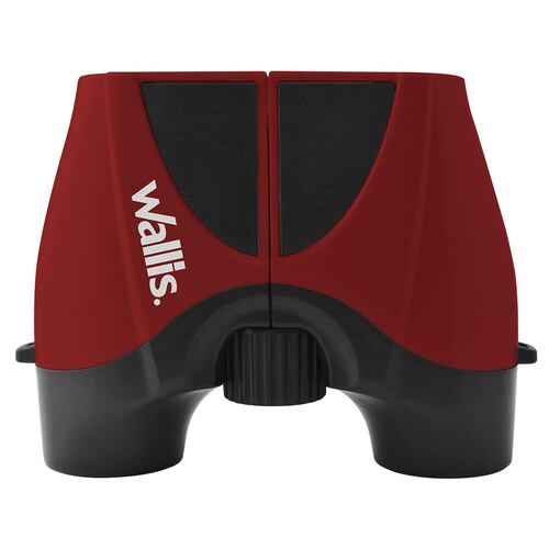 Binocular 10 x 22 mm con Lente Micro Wallis