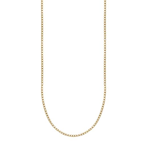 Collar Cadena Larga Básica Acabado Dorado BF 2023 Westies