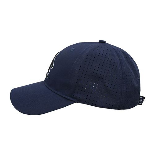 Gorra Original Penguin azul