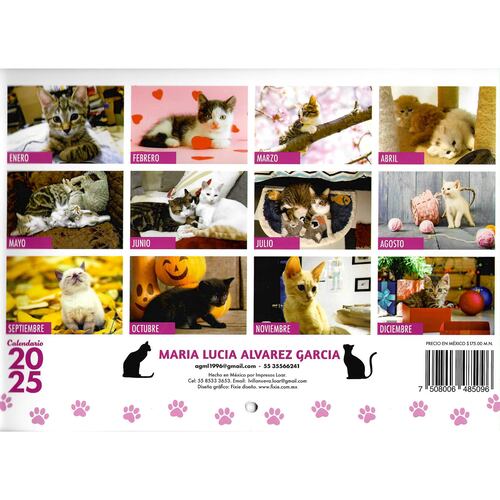 Calendario Gatitos 2025 MLAG