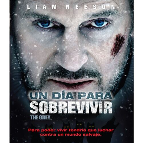 BR Un Dia Para Sobrevivir