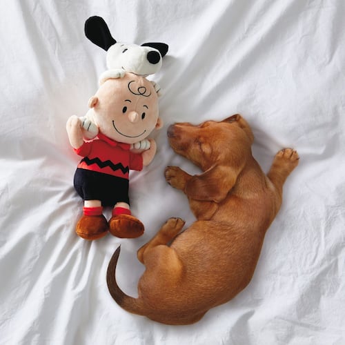 Peanuts® Charlie Brown y Snoopy juntos, peluches, 9