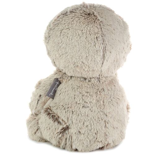 Peluche oso perezoso bebe