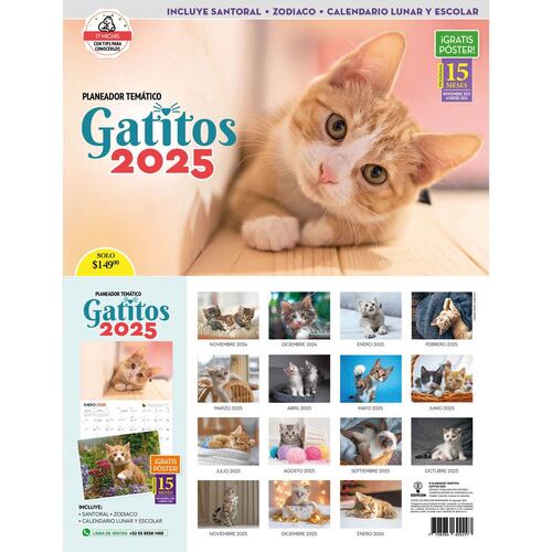 Revista Planeador Gatitos