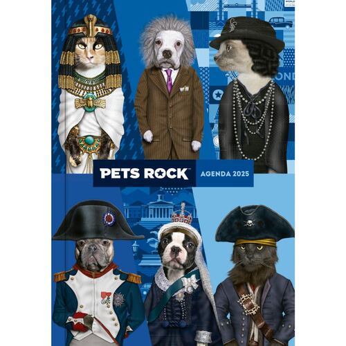 Agenda Juvenil 2025 Diseño Pets Rock Azul (historia) Vr Editoras