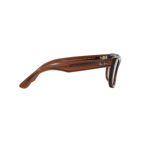 Lentes Solares Marrón Transparente Ray Ban