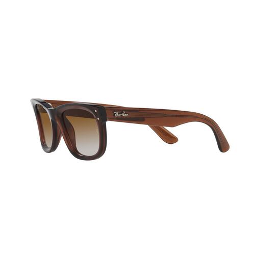 Lentes Solares Marrón Transparente Ray Ban