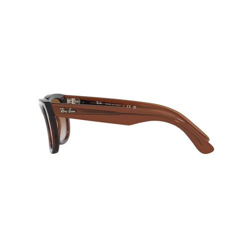 Lentes Solares Marrón Transparente Ray Ban